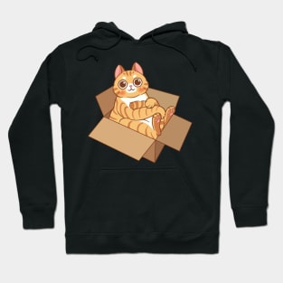 Tabby cat in the box Hoodie